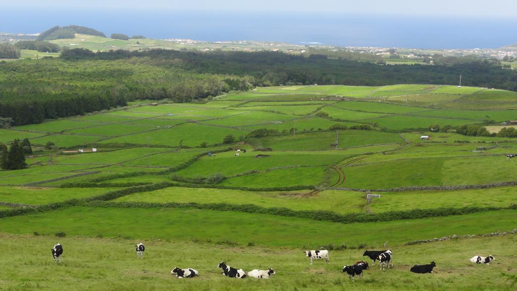 Quinta Do Chico Feijao Villa Lajes Rum bild